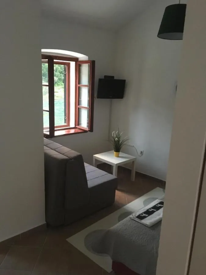 Seafront Apartment Riva Novigrad  Croatia